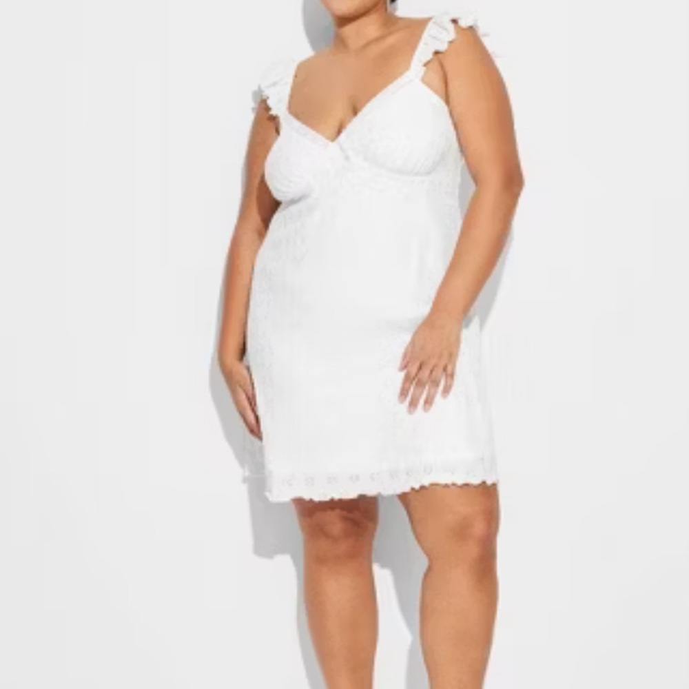 Wild Fable Women's Ruffle Sleeve‎ Eyelet Mini A-Line Dress
